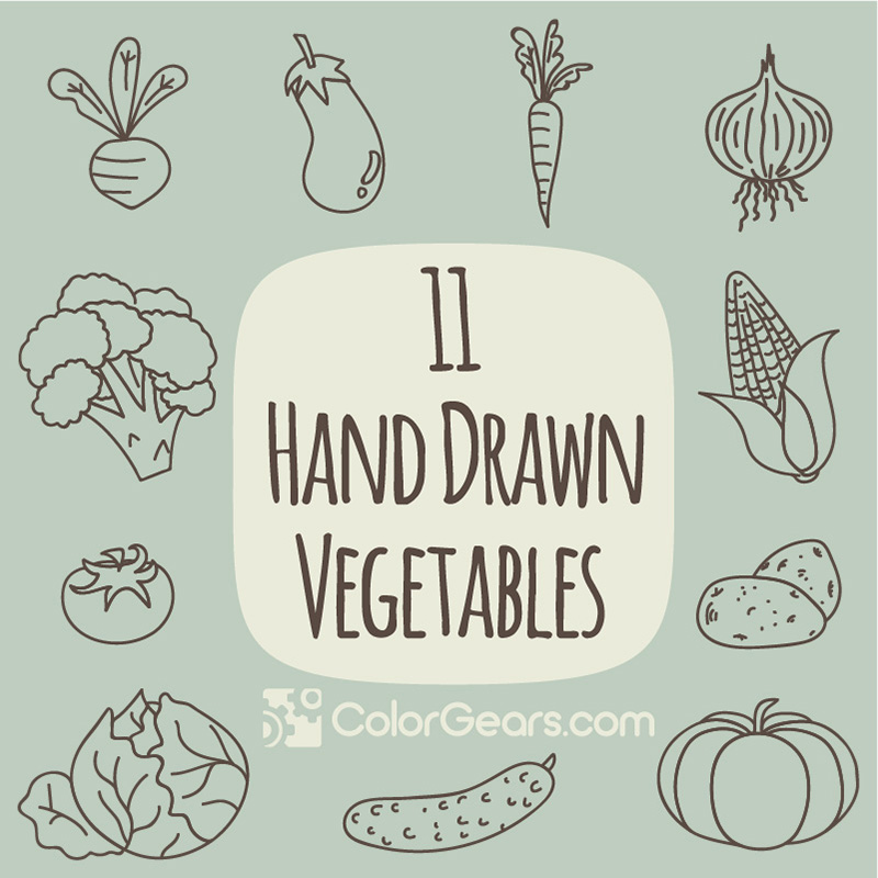 11 Hand Drawn Vegetables Vectors